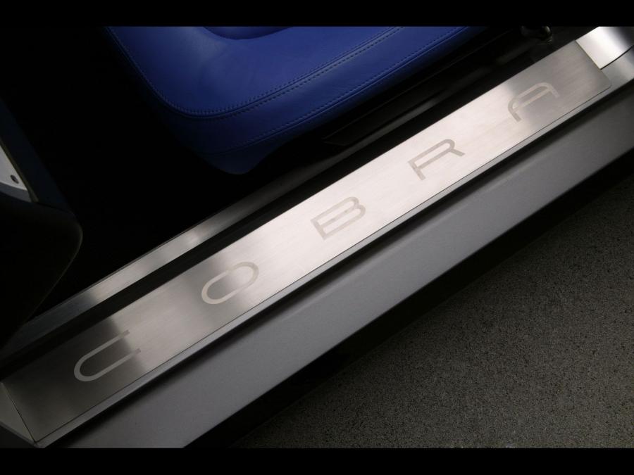  Shelby Cobra Concept 2004 года  (фото 9 из 53)
